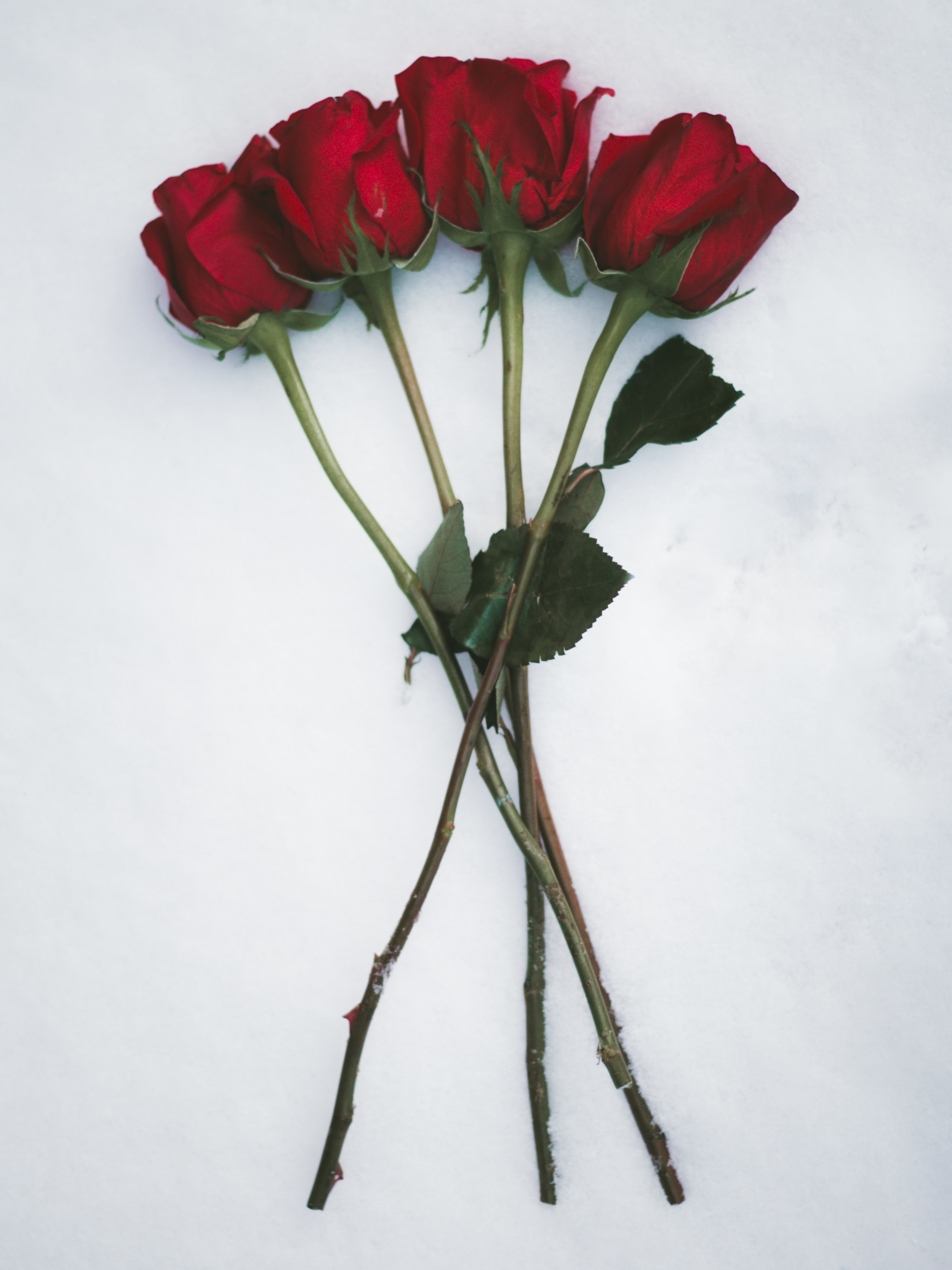 img could not be loaded!